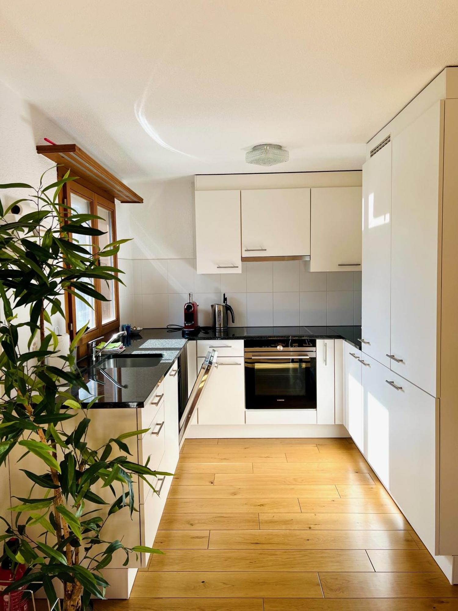 Maisonette 4.5 Zimmer, Naehe Ballenberg Hofstetten bei Brienz Esterno foto